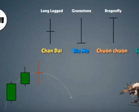 Video học Forex Căn Bản