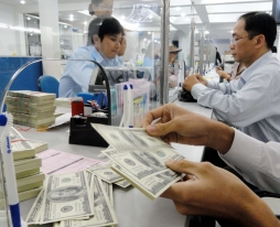 Dự trữ ngoại hối của Việt Nam đạt 45 tỷ USD